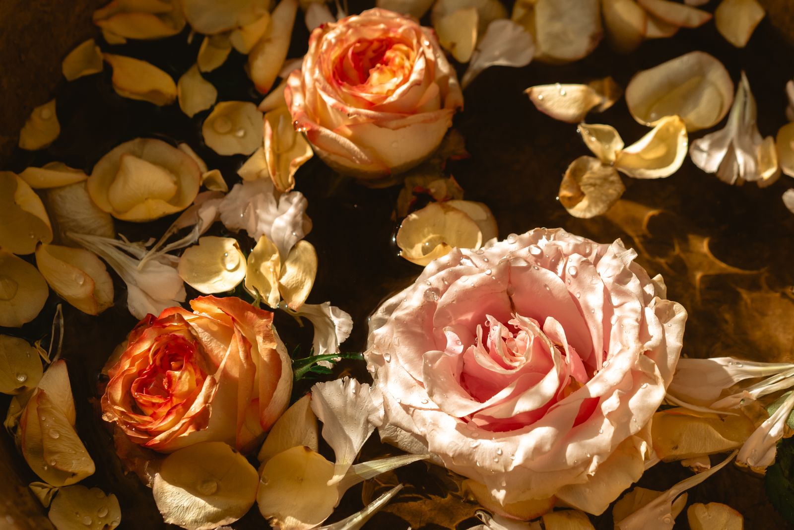 Tender Rose SPA Ritual